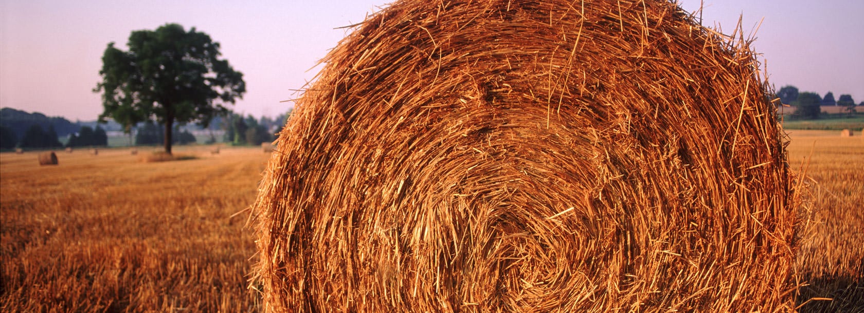 der sonnenhof remseck